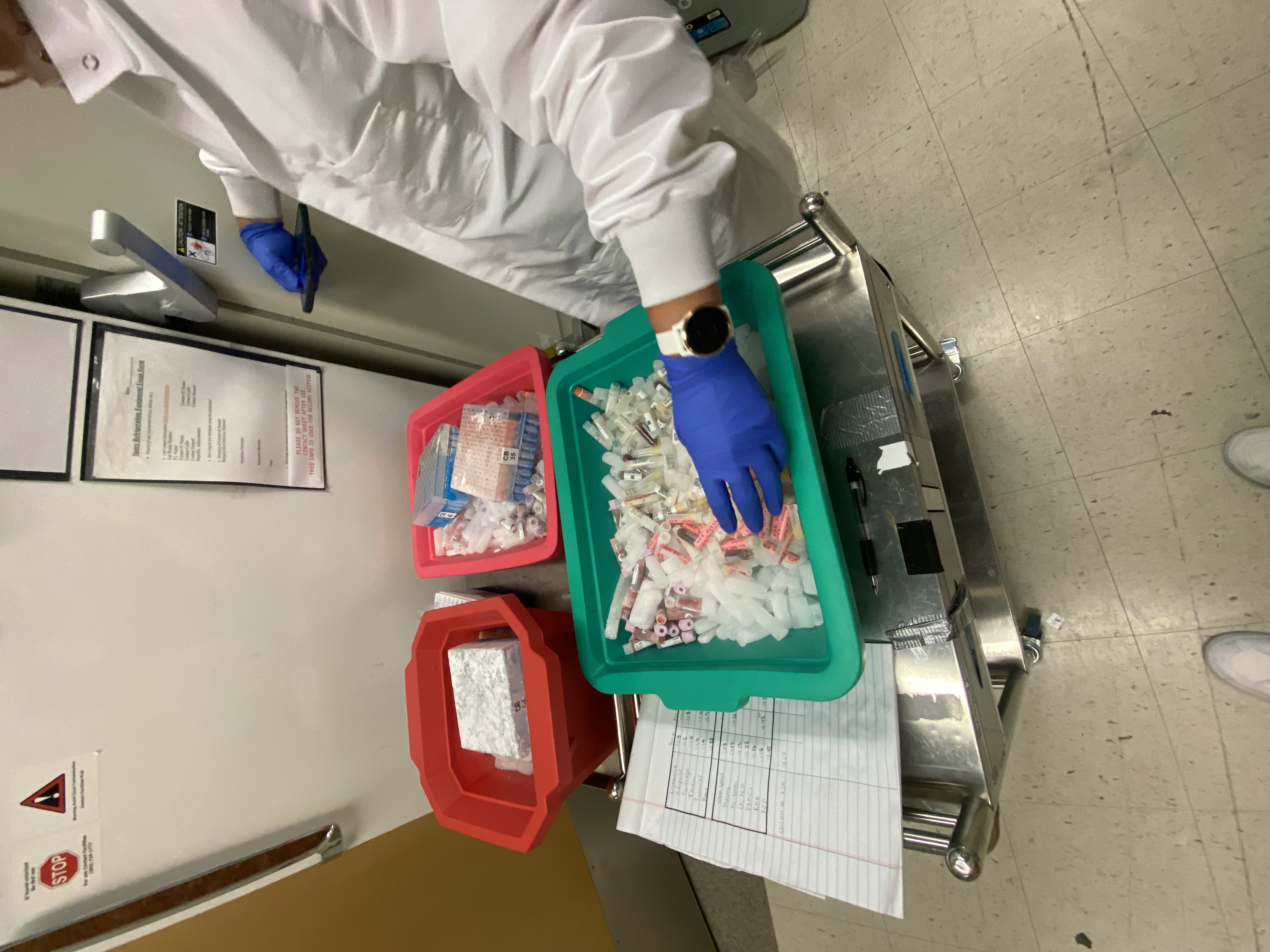 Tendon tissue biobank digitization